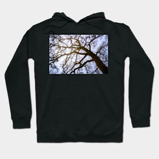 Leaning Tree Skeleton Hoodie